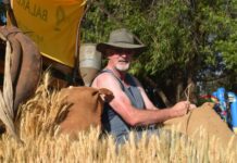 Faces of Balaklava Christmas Pageant 2023