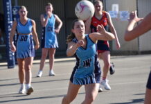 Cats overcome Demons in hard fought prelim