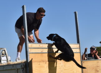 Eudunda Show to be on ‘cloud canine’