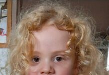 Search for Gus continues