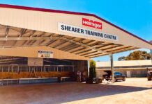 Shear best to grace Jamestown