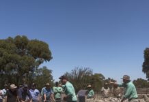 Strong competition for Jamestown ewe market