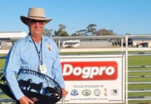 Ireland far from green at state sheepdog trials