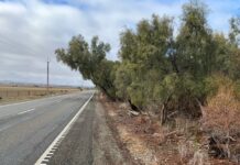 Root of highway problem to be addressed