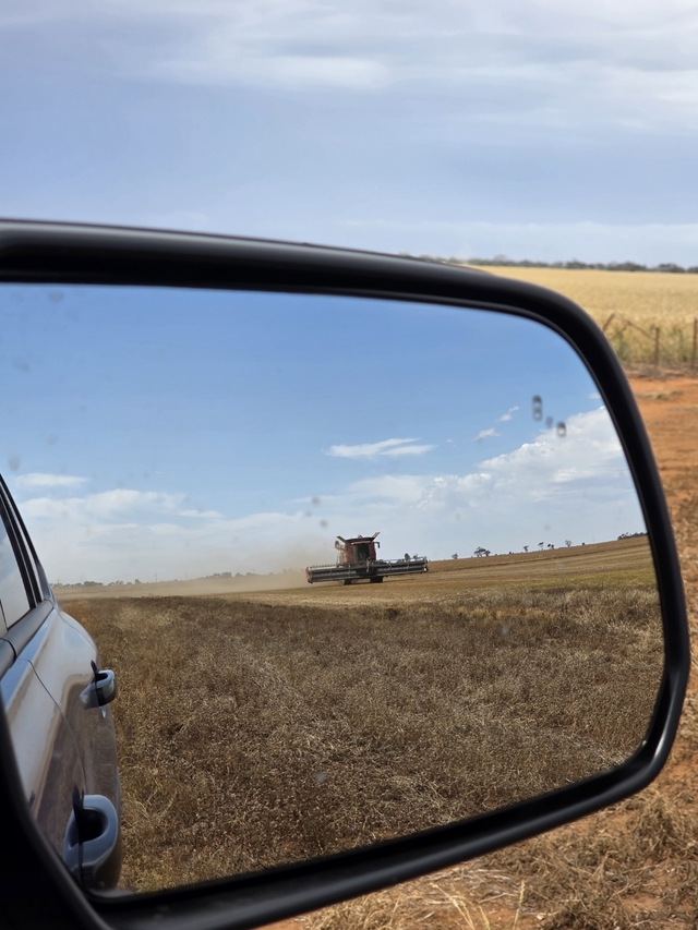 OtFNov0525_514569_01