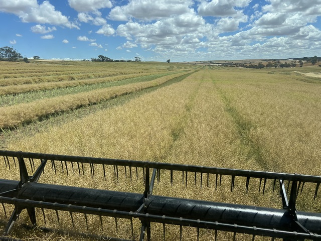 OtFNov1225_516185_03