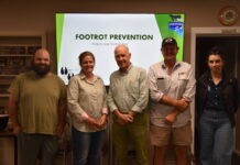 A leg up for sheep producers