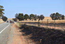 Spalding crop fire