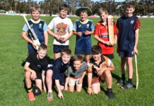 A lush renewal for Jamestown’s Vic Park