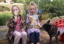 Burra gears up for Pride Picnic return