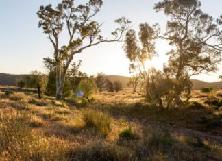 Temporary closure for Upper North national park