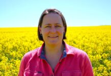 Grain producing innovators get award nod