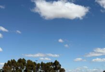 Points on the board for Pekina-Carrieton