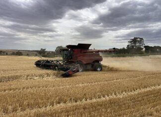 Harvest cranks up and winds down!