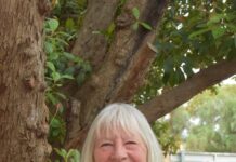 Volunteer and young carer named state award finalists