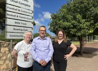 Transport surveys for Plains and Lower North