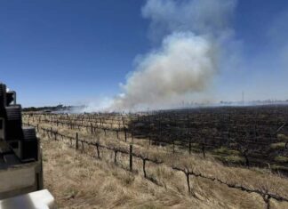 CFS busy across two days near Two Wells