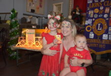 Lionhearted effort overcomes cancellation