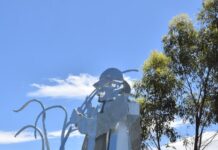 Looking Back on 2025 – December