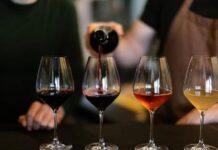 SA’s 2026 wine business program now open