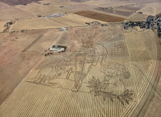 Australiana artwork reappears near Freeling