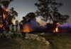 CFS control fire near Riverlea