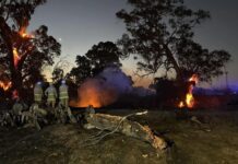 CFS control fire near Riverlea