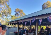 Melrose melds together for Australia Day