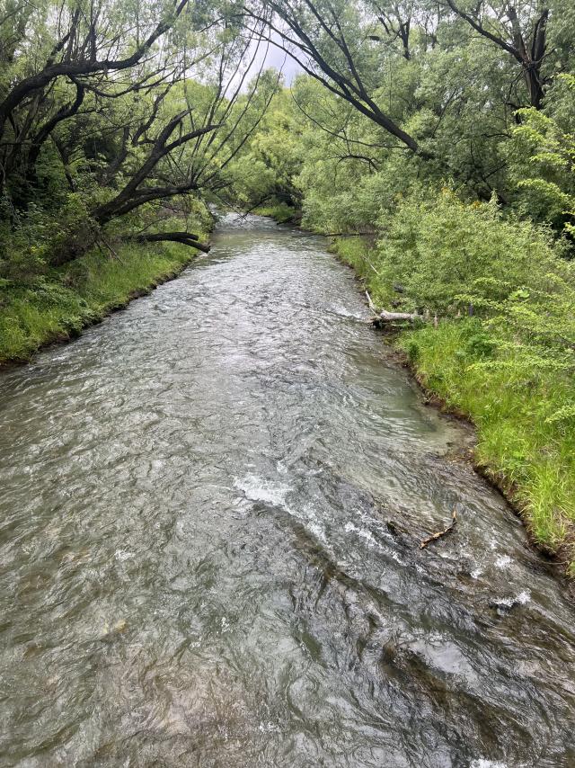 OtFJan0726_526773_01