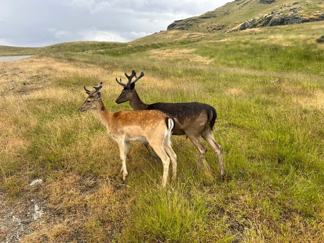 OtFJan1425_527954_02