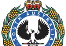 Lower Light robbery investigated