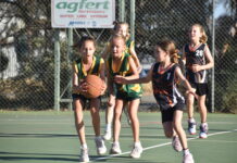 Skills developing across junior grades