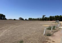 Lochiel looks for support green light