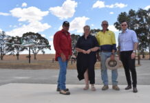 Libs pledge $60k to fix aerodrome