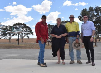 Libs pledge $60k to fix aerodrome