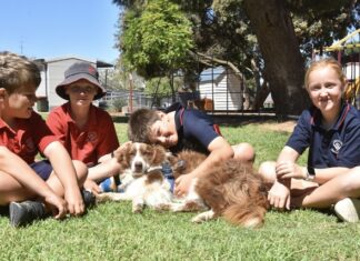 Blyth leads with school dog