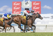 Voorham achieves treble at Balaklava