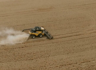 Grain future roadmap charted