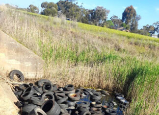 Costly dumping a load of rubbish