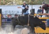 Clare Rodeo hits the ground running