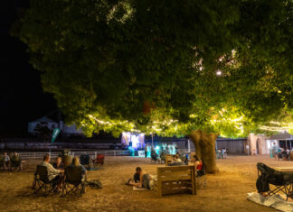 Twilight delight at Crystal Brook